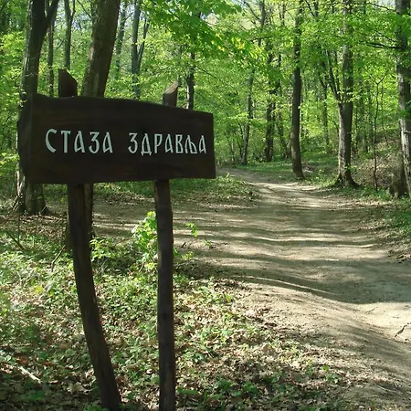 Hedonica Nebeske Vode