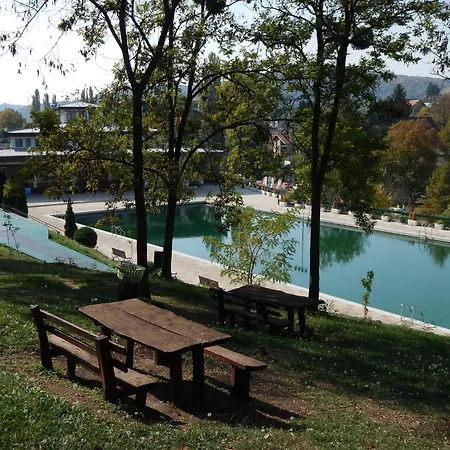 Hedonica Nebeske Vode *