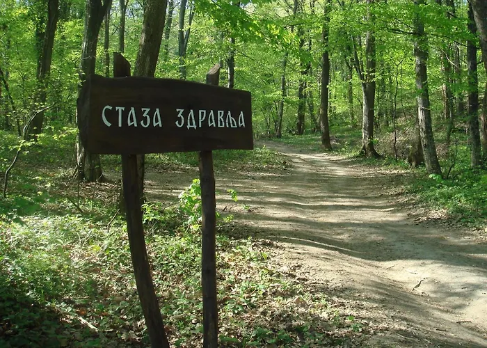 Hedonica Nebeske Vode