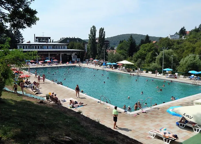 Hedonica Nebeske Vode * Rednek