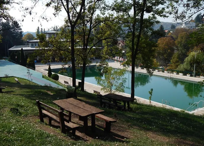 Hedonica Nebeske Vode *